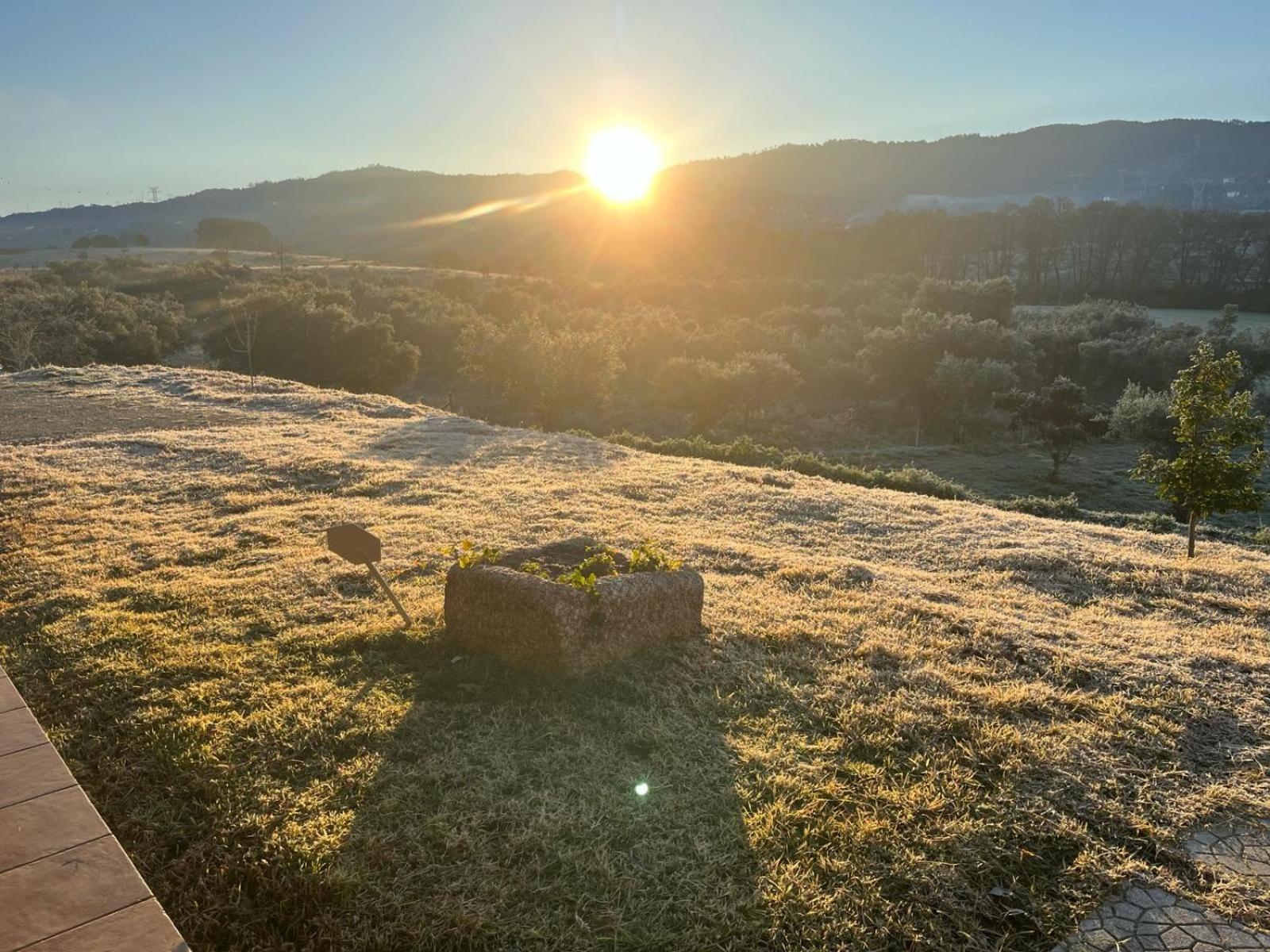 Quinta Dos Cedros L Turismo Rural Covilhã Zewnętrze zdjęcie
